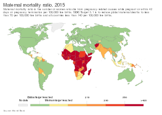 https://upload.wikimedia.org/wikipedia/commons/thumb/0/07/Maternal_mortality_ratio_%28With_SDG_Target%29%2C_OWID.svg/320px-Maternal_mortality_ratio_%28With_SDG_Target%29%2C_OWID.svg.png